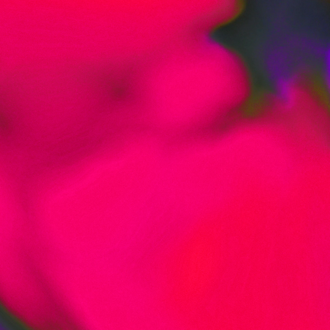 Flower study 3